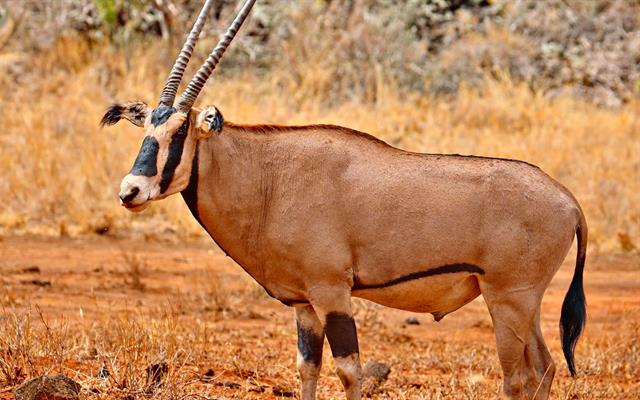 africa-e-oceano-indiano (41).jpg